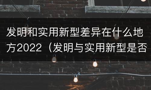 发明和实用新型差异在什么地方2022（发明与实用新型是否具有实用性）