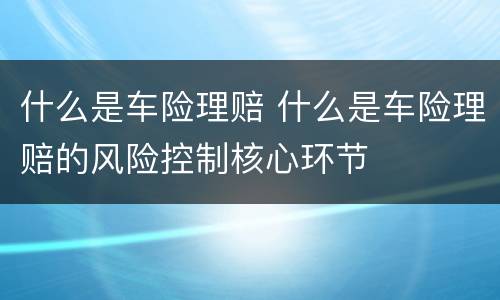 什么是车险理赔 什么是车险理赔的风险控制核心环节