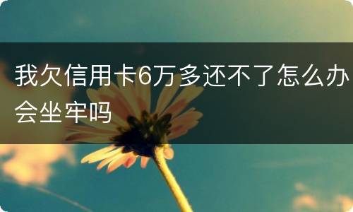我欠信用卡6万多还不了怎么办会坐牢吗