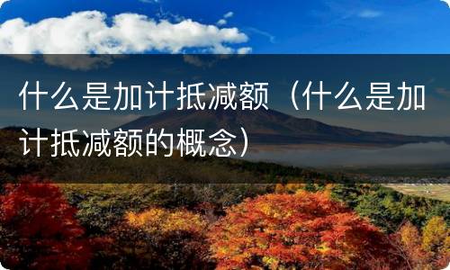 什么是加计抵减额（什么是加计抵减额的概念）