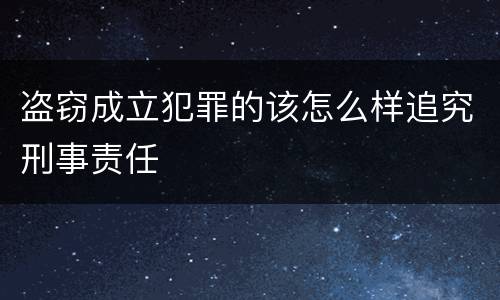 盗窃成立犯罪的该怎么样追究刑事责任