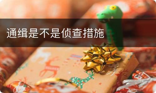 通缉是不是侦查措施