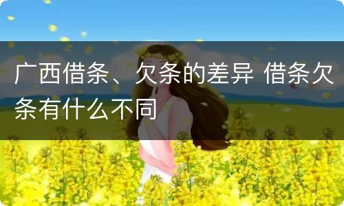 广西借条、欠条的差异 借条欠条有什么不同