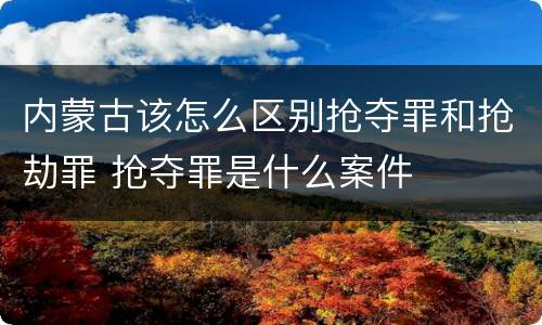 内蒙古该怎么区别抢夺罪和抢劫罪 抢夺罪是什么案件