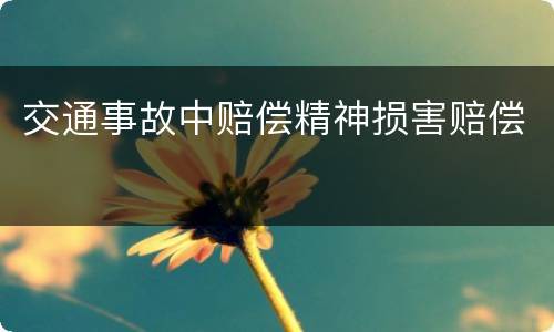 交通事故中赔偿精神损害赔偿