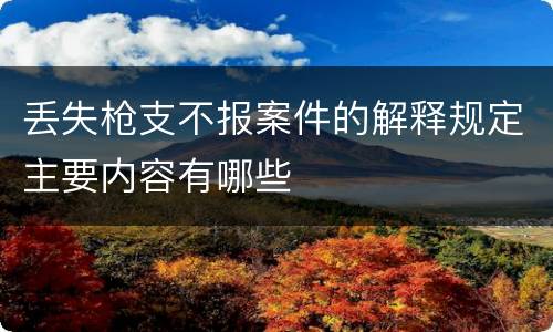 丢失枪支不报案件的解释规定主要内容有哪些