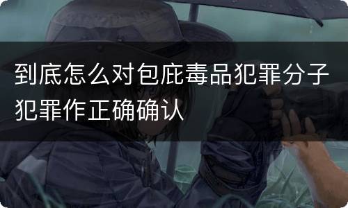 到底怎么对包庇毒品犯罪分子犯罪作正确确认