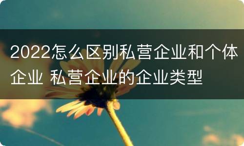 2022怎么区别私营企业和个体企业 私营企业的企业类型