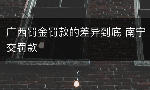广西罚金罚款的差异到底 南宁交罚款