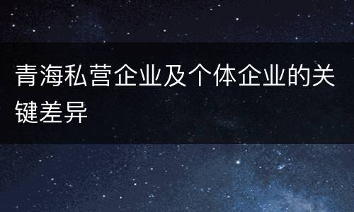 青海私营企业及个体企业的关键差异