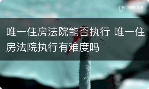 唯一住房法院能否执行 唯一住房法院执行有难度吗
