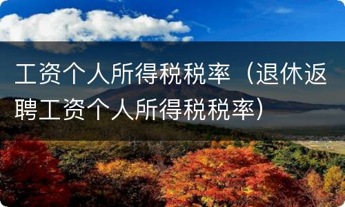 工资个人所得税税率（退休返聘工资个人所得税税率）
