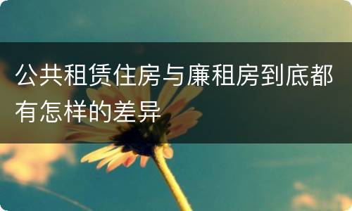 公共租赁住房与廉租房到底都有怎样的差异