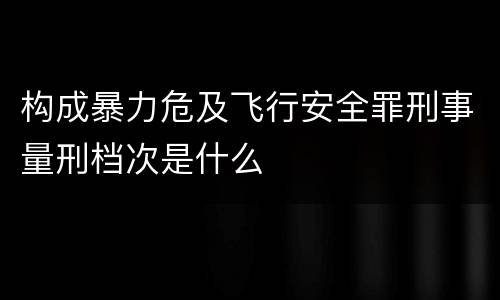 构成暴力危及飞行安全罪刑事量刑档次是什么