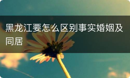 黑龙江要怎么区别事实婚姻及同居