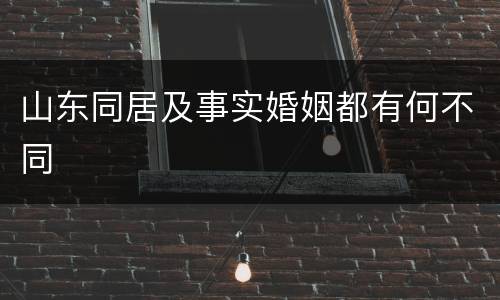 山东同居及事实婚姻都有何不同