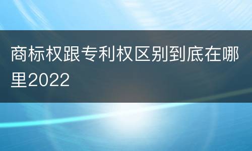 商标权跟专利权区别到底在哪里2022