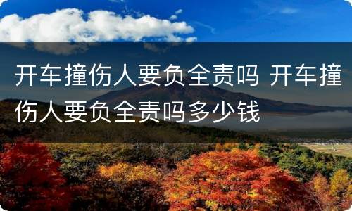 开车撞伤人要负全责吗 开车撞伤人要负全责吗多少钱