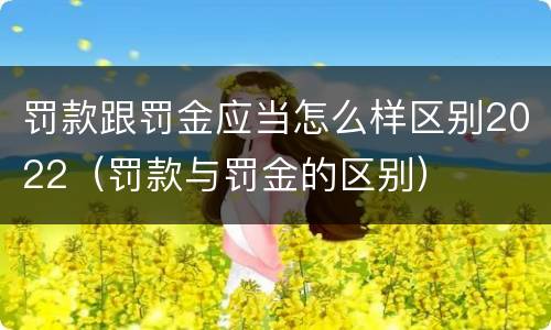 罚款跟罚金应当怎么样区别2022（罚款与罚金的区别）