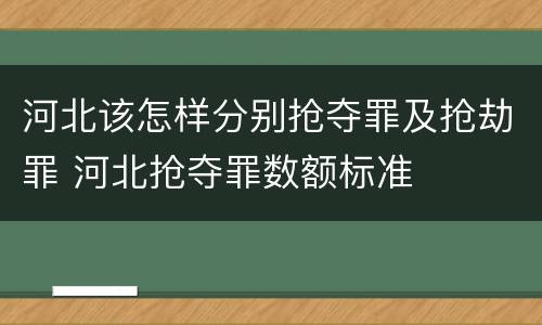 河北该怎样分别抢夺罪及抢劫罪 河北抢夺罪数额标准