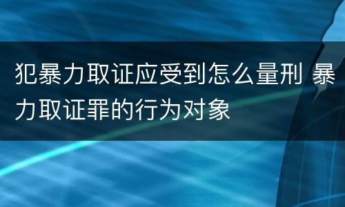 犯暴力取证应受到怎么量刑 暴力取证罪的行为对象