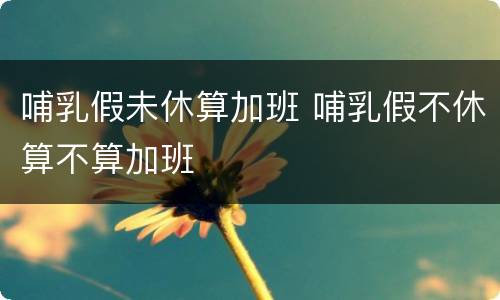 哺乳假未休算加班 哺乳假不休算不算加班
