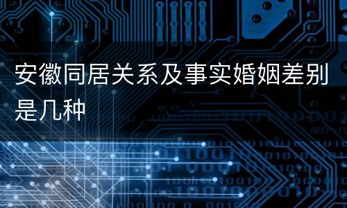 安徽同居关系及事实婚姻差别是几种