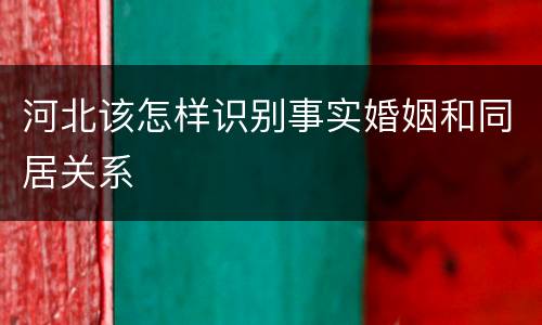 河北该怎样识别事实婚姻和同居关系