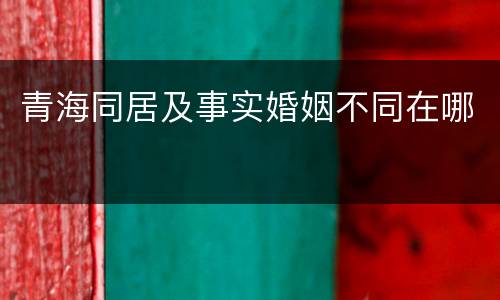 青海同居及事实婚姻不同在哪