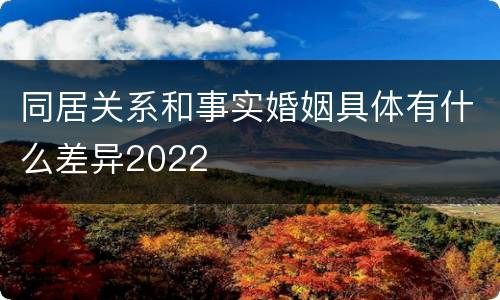 同居关系和事实婚姻具体有什么差异2022