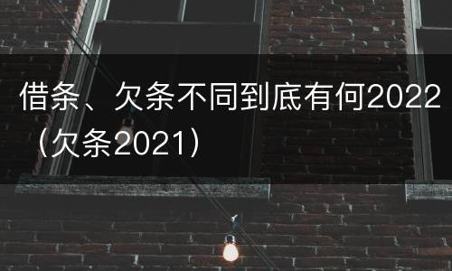 借条、欠条不同到底有何2022（欠条2021）