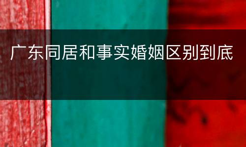 广东同居和事实婚姻区别到底