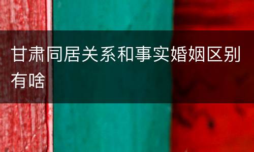 甘肃同居关系和事实婚姻区别有啥