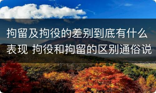 拘留及拘役的差别到底有什么表现 拘役和拘留的区别通俗说法