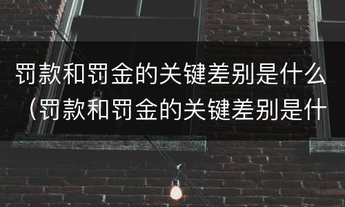 罚款和罚金的关键差别是什么（罚款和罚金的关键差别是什么意思）