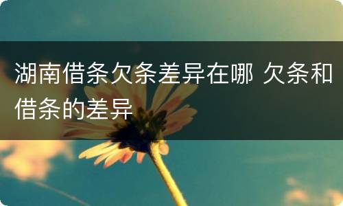 湖南借条欠条差异在哪 欠条和借条的差异