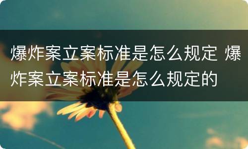 爆炸案立案标准是怎么规定 爆炸案立案标准是怎么规定的