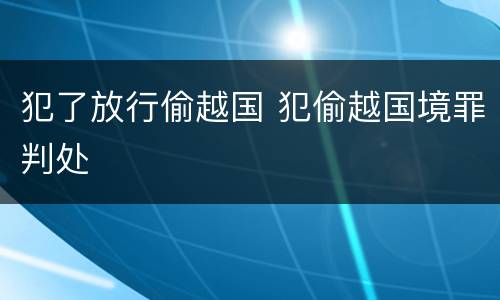 犯了放行偷越国 犯偷越国境罪判处