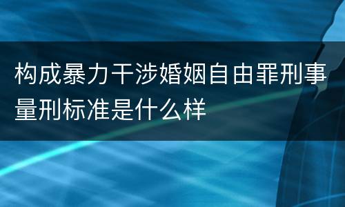 构成暴力干涉婚姻自由罪刑事量刑标准是什么样