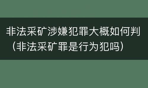 非法采矿涉嫌犯罪大概如何判（非法采矿罪是行为犯吗）