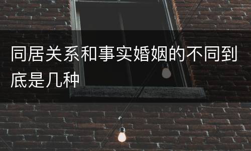 同居关系和事实婚姻的不同到底是几种