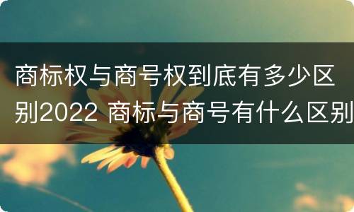 商标权与商号权到底有多少区别2022 商标与商号有什么区别