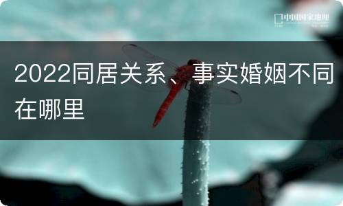 2022同居关系、事实婚姻不同在哪里