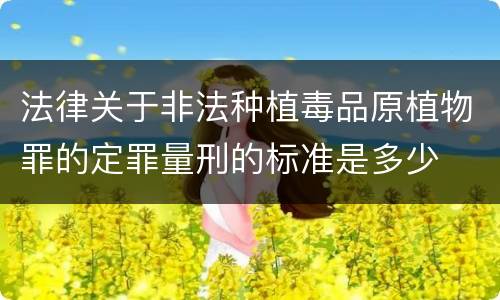 法律关于非法种植毒品原植物罪的定罪量刑的标准是多少