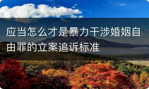 应当怎么才是暴力干涉婚姻自由罪的立案追诉标准