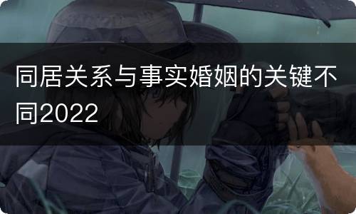同居关系与事实婚姻的关键不同2022