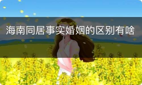 海南同居事实婚姻的区别有啥