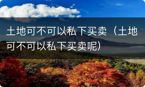 土地可不可以私下买卖（土地可不可以私下买卖呢）