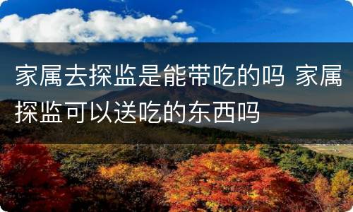 家属去探监是能带吃的吗 家属探监可以送吃的东西吗