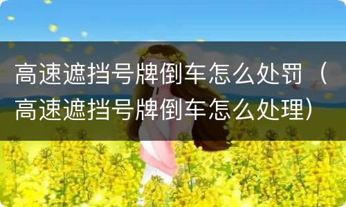 高速遮挡号牌倒车怎么处罚（高速遮挡号牌倒车怎么处理）